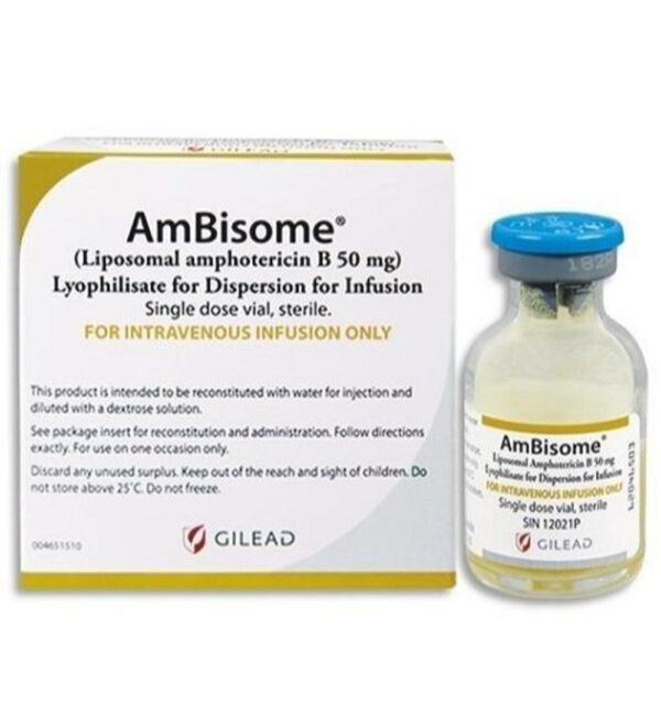 AMBISOME INJECTION 1 VIAL