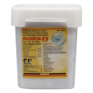 RUMEN FS BOLUS